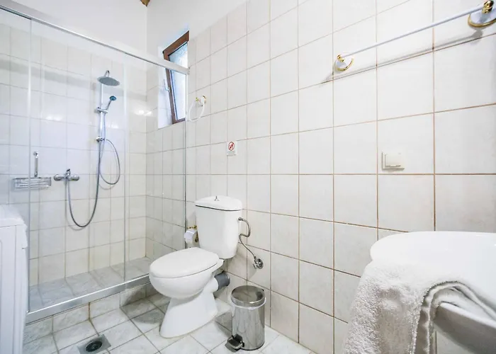 Segounia * Skinária